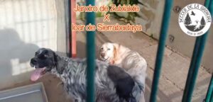 Ioar de SierraBadaya X Jandro de Zubialde